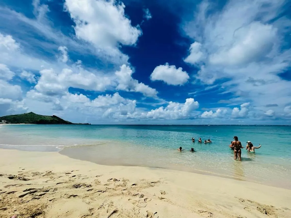 Apartamento Studio Cosy A 2 Min De La Plage, Grand Case - Fr-1-734-36 Sint Maarten