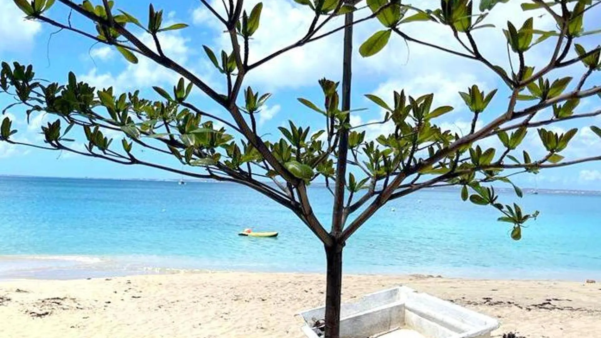 Studio Cosy A 2 Min De La Plage, Grand Case - Fr-1-734-36 Apartamento